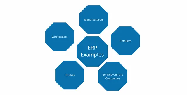 ERP Examples by Industry